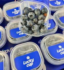 HẠT ĐIỀU RANG MUỐI  - BỊCH 500G